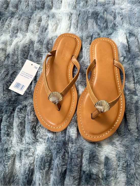 Calypso St. Barth Shoes - Calypso St. Barth Tan Flip Flop Sandals with Gold Shell Accent